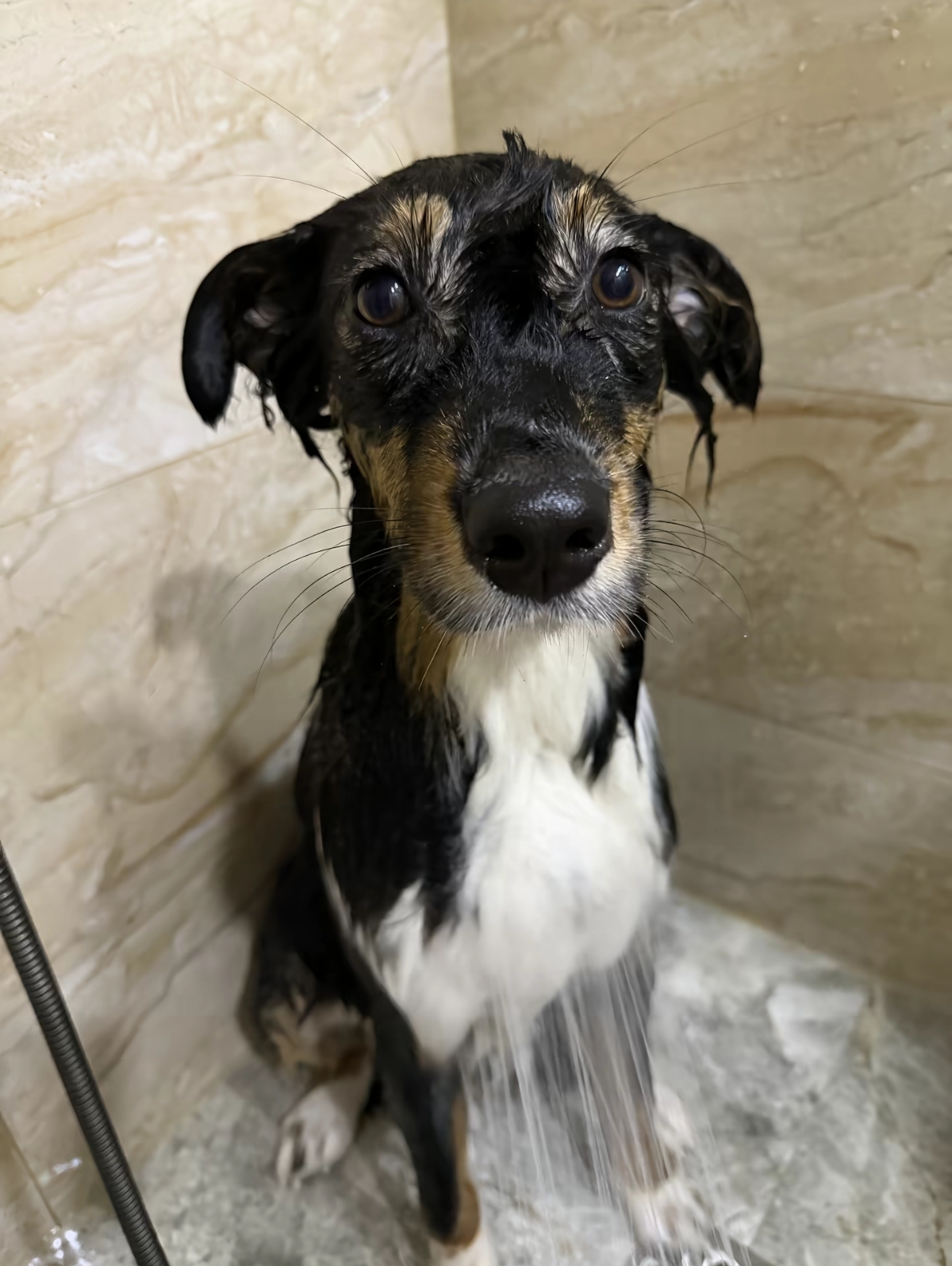 晚上睡不着，早上起不来